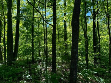 XXX Stevens Rd, Onamia, MN 56359 - photo 3