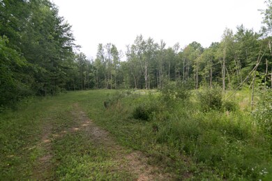 10441-W-PQ-Ave-102
