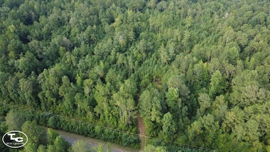 0 Martin Luther King Hwy, Eutaw, AL 35462 - photo 2