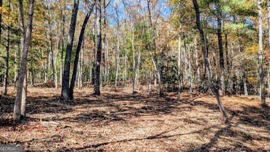 0 Autumn Ridge Drive Lot 10 & Lot 11 Dr unit 10647540, Mineral Bluff, GA 30559 - photo 4