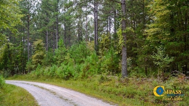 0 Dawkins Rd, Pacolet, SC 29372 - photo 2