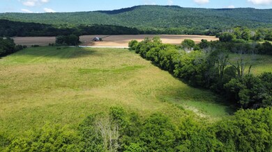 5600 Highway 50, Pelham, TN 37366 - photo 7