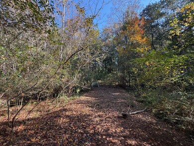 10075 Youngstowne Dr, Semmes, AL 36575 - photo 5