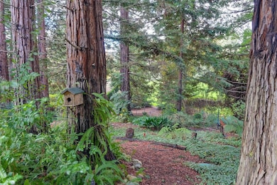 1598 Jade Ln, Penryn, CA 95663 - photo 4