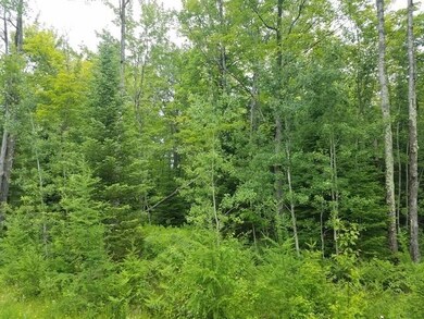 Lot 1 Sanctuary Rd, Tomahawk, WI 54487 - photo 4