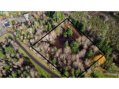 0 SE Sartore Rd unit 21649794, Amity, OR 97101 - photo 5