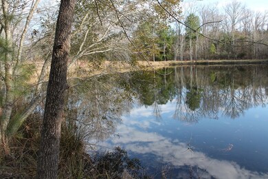 0 Highway 220 unit 449638, Lincolnton, GA 30817 - photo 7