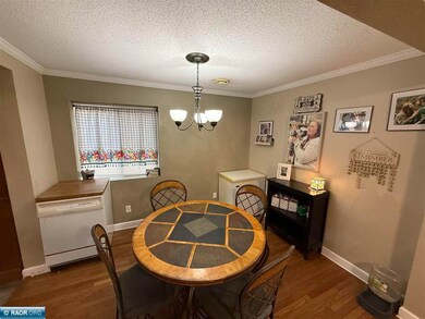 311 W 2nd Ave N, Aurora, MN 55705 - photo 4