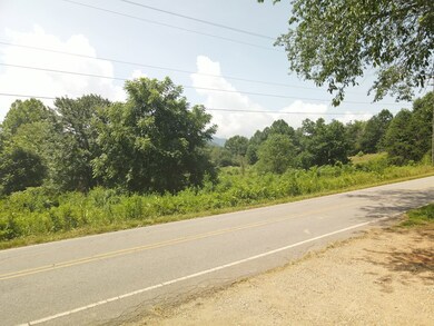 0 Addington Bridge Rd, Franklin, NC 28734 - photo 5