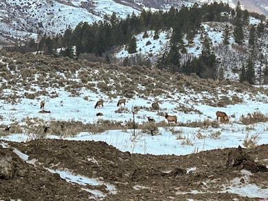 TBD W Us Hwy 50, Gunnison, CO 81230 - photo 5