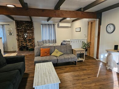 Living Room- fireplace