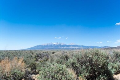 TBD Pitchfork Rd unit 2, Fort Garland, CO 81133 - photo 3