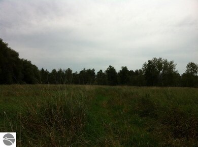 N/A Noggle Rd, Omer, MI 48749 - photo 4