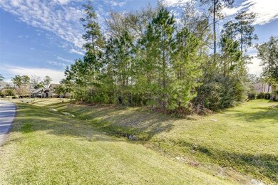 5470 Harvest Oak Landing Dr, Spring, TX 77386 - photo 7