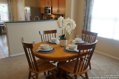 10331 Lupine Canyon, Helotes, TX 78023 - photo 4