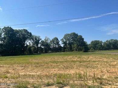 5336 Cane Creek Cove, Hernando, MS 38632 - photo 2