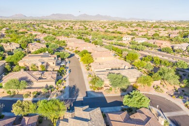 DJI_0869