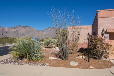 front yard view