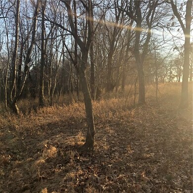 14259 Lott Rd, Elm Springs, AR 72762 - photo 6