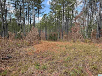 680 Sweet Apple Rd, Pell City, AL 35128 - photo 5