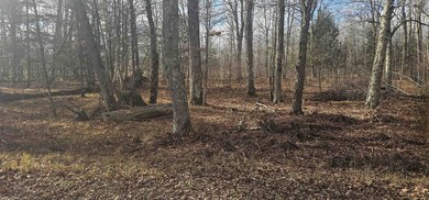 0 Chip n Dale Dr, Pickerel, WI 54465 - photo 3