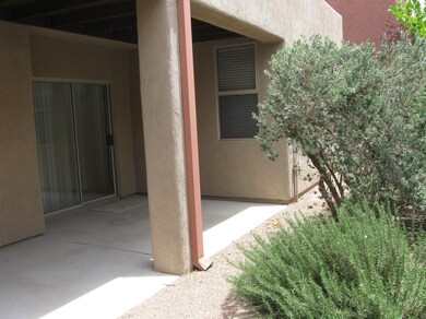 Rear Patio