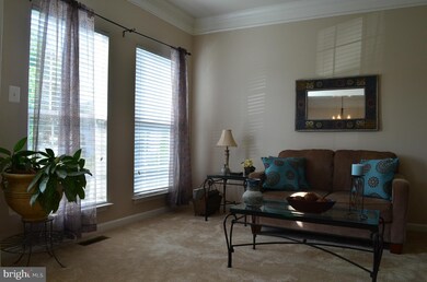 832 Autumn Ridge Rd, Culpeper, VA 22701 - photo 7