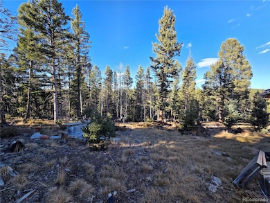 1434 Blue Mesa Dr, Divide, CO 80814 - photo 6