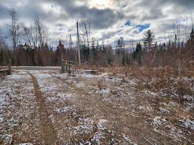 Lot 2 Greenleaf Brook Rd, Amity, ME 04471 - photo 6