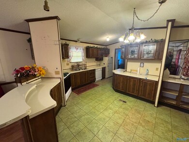 251 Ready Section Rd, Hazel Green, AL 35750 - photo 6