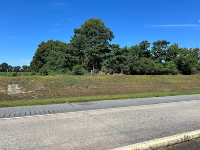 0 Lucy Chapel Rd, Danville, GA 31017 - photo 3