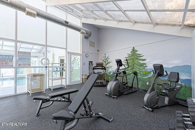 205 Ogle Dr unit 323, Pigeon Forge, TN 37863 - photo 7