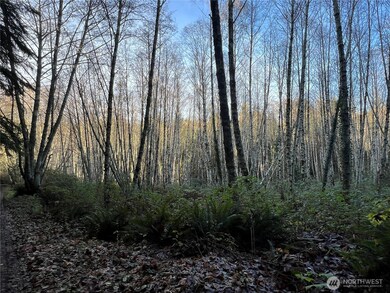 1 XX View Dr NE, Poulsbo, WA 98370 - photo 5