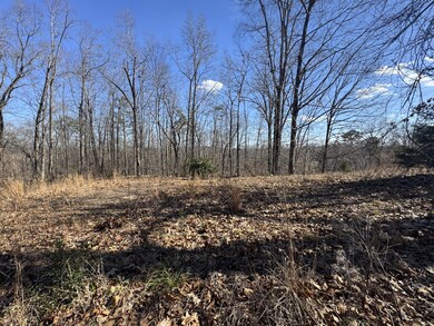 37 Village Dr, Cohutta, GA 30710 - photo 4