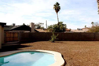 backyard 4