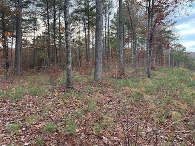 447 Woodward Way, Talking Rock, GA 30175 - photo 3