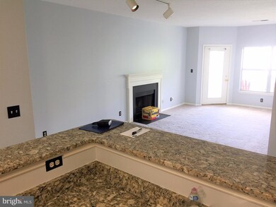 14322 Climbing Rose Way unit 206, Centreville, VA 20121 - photo 4