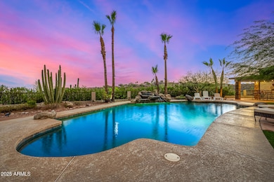 Back yard Oasis