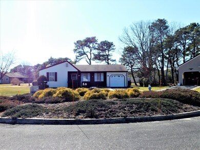 Front View 2