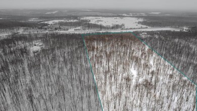 3-web-or-mls-DJI_0469