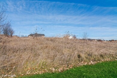 4799 Waa Kee Sha Dr, Oswego, IL 60543 - photo 5