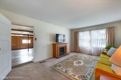 527 Waco Ln, Carpentersville, IL 60110 - photo 3