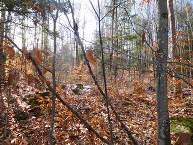 0FF Mutton Rd, Webster, NH 03303 - photo 7