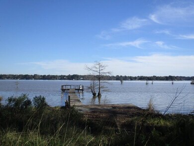 687 Flintside Dr, Cobb, GA 31735 - photo 3