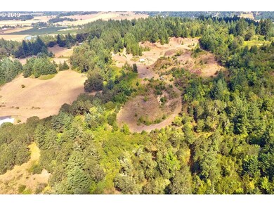 39700 SW Gibson Rd, Gaston, OR 97119 - photo 5