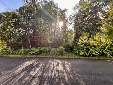 Looking straight at lot from road.