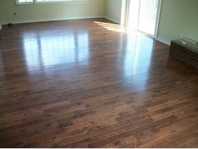 1000 Ridgefield Cir, Johnson City, TN 37601 - photo 3