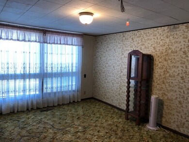 1007 W Saint Anthony Ave, Effingham, IL 62401 - photo 7