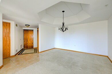 14130 Sheffield Dr unit 302, Homer Glen, IL 60491 - photo 5