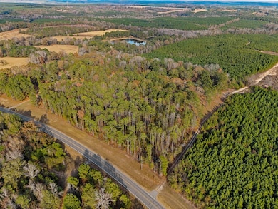 84 Weaver Ln, Buena Vista, GA 31803 - photo 7